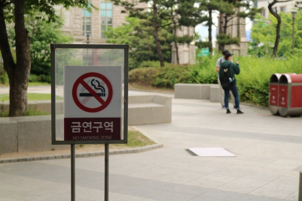 미디어관 앞은 금연구역으로 설정돼 있지만 여전히 많은 학생들이 흡연하고 있다