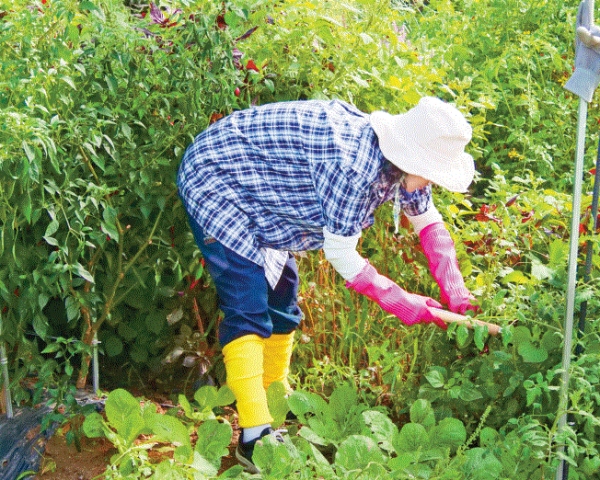 6일 '자연의향기 농원'에서 최모 씨가 밭을 가꾸고 있다.