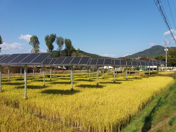 2017년에 준공된 가평군 농가참여형 태양광 실증사업 현장.
