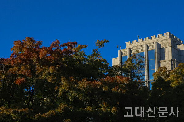 지나간 여름은 보내주고, 다가오는 가을을 맞이하자