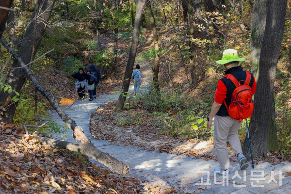 북한산 둘레길 3구간 ‘흰구름길’을 오르고 있는 사람들.