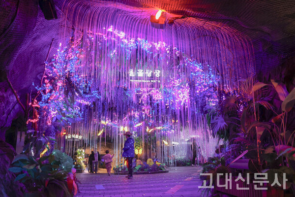 1912년 일본이 자원 수탈을 목적으로 ‘광명동굴’을 개발했다. 1972년 폐광 후엔 40여 년간 새우젓 창고로 쓰였다. 2011년 광명시가 매입해 복합문화예술공간으로 재탄생한 광명동굴은 성공적인 도시재생 사례로 꼽힌다.