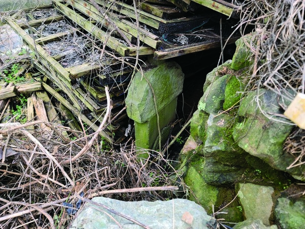 경상남도 통영시 산양읍의 최씨 청덕선정비. 어업 시설과 잡목 사이에 파묻혀 있다.