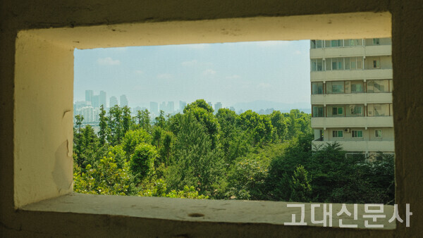 기관포 포대에서 바라본 경관.