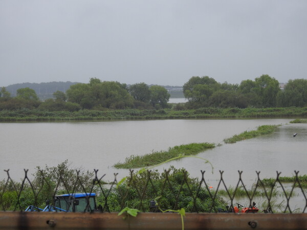 2020년 8월 장마로 잠긴 경기 고양시 장항습지.