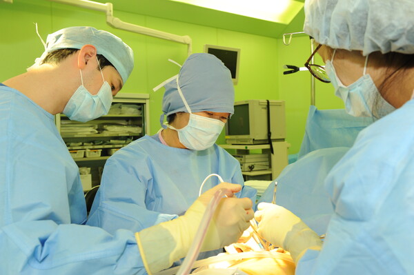 이은숙 원장이 수술을 집도하고 있다.