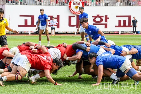 스크럼을 짜는 양교 선수들.
