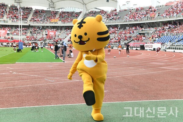 고려대 마스코트 ‘호이’가 운동부를 응원하고 있다.