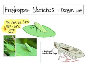 프로젝트 해결하며 융합 배우는 올린공과대 학생들